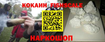 индика Гусь-Хрустальный