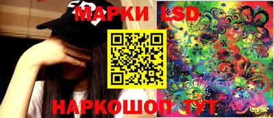 индика Гусь-Хрустальный