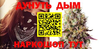 индика Гусь-Хрустальный