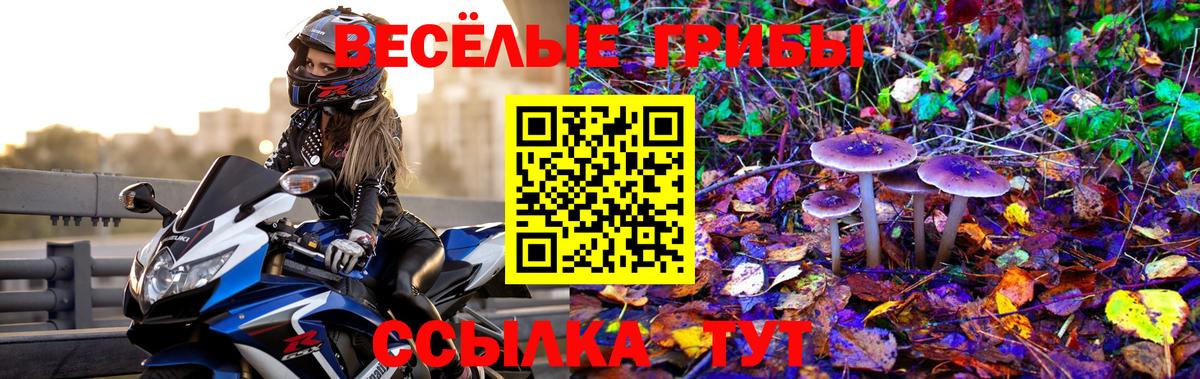 Галлюциногенные грибы Magic Shrooms Назрань