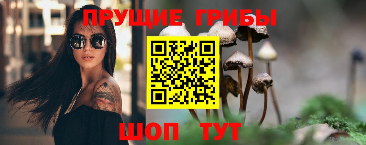 Псилоцибиновые грибы GOLDEN TEACHER  Вход с VPN  Галлюциногенные грибы ЛСД  Назрань 